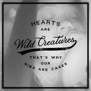 Meet your Posher, Abigail